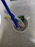 维克（Virbac）牙膏猫咪狗狗牙膏口腔清洁清新口气牙结石宠物洁牙可食用复合酶小绿管（海鲜味） 实拍图