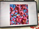 vivo Pad3 Pro 13英寸 蓝晶×天玑9300平板电脑 144Hz护眼屏11500mAh电池 12+256GB 薄霞紫国家补贴 实拍图