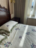 羽丝绒枕头五星级酒店同款枕芯一对颈椎枕成人睡觉专 经典白48*74cm中枕 实拍图