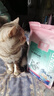 优趣猫粮全价粮通用成猫幼猫粮成年猫高蛋白营养天然英短蓝猫 无谷冻干生骨肉（1.5kg*2包） 实拍图