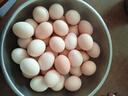 散养土鸡蛋 谷物蛋初生鲜鸡蛋 农家山林谷物喂养笨鸡蛋柴鸡蛋 【吃出蛋奶香】20枚 S级谷物蛋(40g±5g)/枚 实拍图
