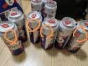 kronenbourg 1664白啤酒500ml*12罐精酿啤酒小麦啤酒整箱装礼盒装年货送礼 实拍图