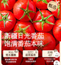 叮叮懒人菜酸菜鱼 川味家常菜做法下饭半成品方便菜 海鲜预制菜 夜宵 【微辣】酸菜鱼450g*3袋(送赠品) 实拍图