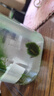 YEE绿藻球水族箱鱼缸造景水草水藻球虾缸海藻球草缸水草观赏球好养 小号2-2.5cm左右(泡水后) 实拍图