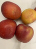冉沃优选甘肃大漠正宗冰糖心红富士苹果高原脆甜苹果新鲜当季水果整箱 75-80mm果径（净重4.5斤中果） 实拍图