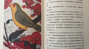 吉卜力的天才们? “吉卜力教科书”首度面世 千与千寻 龙猫 波妞 吉卜力掌舵人亲述 看天才如何思考 实拍图