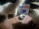猫博士猫粮美毛无谷鲜肉粮全价成猫猫粮幼猫粮全阶段美毛配方试吃 【周期装】美毛1kg*5 实拍图