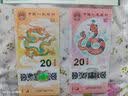 2025年蛇年生肖贺岁纪念钞 蛇年纪念币蛇钞  20元面值 单钞封装鉴定版 实拍图