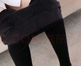 小护士 女士保暖裤500克加厚加绒棉裤高腰加厚护膝保暖裤 实拍图