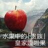 光合星球babycare小盾牌黑标黑加仑红树莓苹果泥88g婴幼儿辅食水果泥6月+ 实拍图