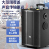 索爱（soaiy）12吋广场舞音响木质大功率便携式户外重低音蓝牙k歌专用大音量移动拉杆音箱室外演出双话筒SA-X73 实拍图