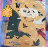 万物了不起 向上飞 新东方童书 万物生存密码小百科 阅读狂欢节 实拍图
