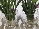 以琛水培植物玻璃瓶 绿萝花瓶花盆玻璃圆球水养鱼缸器皿容器送定制栏 10圆球 实拍图