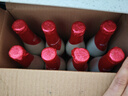 粉象（Delirium）给劲樱桃 啤酒 330ml*8瓶 精酿啤酒 比利时进口 烈性水果艾尔 实拍图