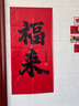 阿宝丽2025蛇年店铺装饰条幅福来商场氛围场景布置拍照背景打卡挂布海报 实拍图