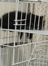 憨憨宠猫笼折叠猫笼子大号猫别墅加粗加密双层猫舍猫窝宠物猫咪用品家用 蓝色 600双层 实拍图