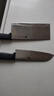 双立人（ZWILLING）刀具套装菜刀水果刀多用刀家用厨具切片切肉熟食刀Enjoy厨刀2件套 实拍图
