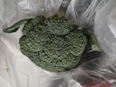 绿食者 新鲜西兰花500g 青花菜 绿花菜 花椰菜 时令蔬菜 实拍图