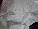 黛富妮被芯全棉纯棉面料加厚保暖7D柔丝纤维单人学生宿舍居家春秋被冬被 公爵加厚冬被 单人被-150*215cm 实拍图