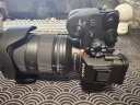 索尼（SONY） ILCE-7RM5 全画幅微单数码相机 双影像画质旗舰 （ILCE-7RM5/A7R5/A7RM5）打鸟 FE24-70F2.8GM 2代 套装 官方标配 实拍图