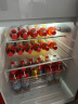 哈士奇圆弧复古冰箱冷冻冷藏单门宿舍家用小冰箱节能低噪 BC-130RDC 冰冻红 实拍图
