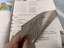 汉知简小学生四年级下册看拼音写词语练字帖生字注音语文课本同步专项训练夯实基础 习字本写字练习册彩绘版 实拍图
