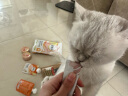 好主人猫条猫咪零食 喵舔酱火腿肠猫罐头白肉汤罐成猫幼猫通用营养开胃 猫咪零食大礼包590g 实拍图