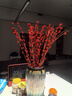 【红色招财银柳】干花真花鲜枝耐寒年宵花水培花卉室内摆放装饰花 60厘米【30支】送灯笼 实拍图