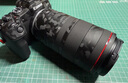佳能（Canon）RF100mm F2.8 L MACRO IS USM  RF新百微  L级人像/动植物/街拍定焦镜头 实拍图