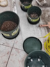 德沃多肥料加仑盆1号含花托盘塑料花盆园艺绿植盆栽种植兰花室内摆件多肉盆 实拍图