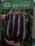 寿禾 长茄子种子苗紫皮春季菜园种植菜种籽 潍丰黑豹2号长茄种子120粒 实拍图