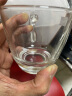 Ocean进口玻璃茶杯耐热泡茶杯带把家用待客水杯加厚大容量绿茶杯 肯雅把杯245ml【两支】 实拍图
