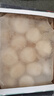 贝柱 海鲜帆立贝柱1000g特大号2L瑶柱带子刺身级带子扇贝柱 L 22-24个 实拍图