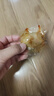 万达香辣鱿鱼仔500g 即食墨鱼仔休闲零食海鲜小吃海味鱿鱼干罐装 实拍图