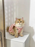 阿莫尔猫咪裙子夏季薄款猫咪衣服可爱粉色南瓜裙布偶蓝猫宠物狗狗公主裙 黄色 L 建议8-10斤  背长30cm 实拍图