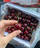 采缇智利进口车厘子5kg5斤可选生鲜樱桃次日达樱桃新鲜水果当季礼盒 1斤(净重) 泡沫箱+冰袋 4J 32mm(含)-34mm(不含） 实拍图