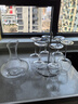 CLITON竖纹红酒杯套装高脚杯分酒器12件酒具套装家用葡萄酒杯玻璃醒酒器 实拍图