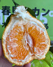 旭霁耙耙柑正宗四川春见耙耙柑丑橘新鲜水果孕妇甜桔橘子年货节 5斤爆甜果 单果80- 90mm 净重4.5斤 实拍图
