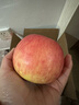 山姆大叔 丑苹果昭通苹果冰糖级【多地次日达】苹果水果礼盒圣诞节礼物 【尝鲜果】单果60-65mm｜甜 10斤装【蕞划算-全家分享】净8 实拍图