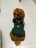 SLPC狗狗衣服小型犬泰迪衣服两脚卫衣猫咪服装比熊博美法斗宠物衣服 墨绿色 XL（8.5-12斤左右） 实拍图