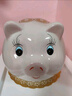 润华年存钱罐只进不出小猪储蓄罐可爱女生创意陶瓷储钱罐打不开 可存可取(含坐垫) 加大号粉色(存四万)【仅剩8件】 实拍图