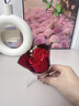 皓梵洁手捧花迷你花束口袋花束玫瑰小花束干花假花永生花礼物鲜花小花 口袋里的浪漫【红玫瑰一束】 实拍图