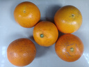 天乐优选麻阳冰糖橙新鲜橙子水果当季整箱果冻甜橙手剥橙子爆汁应季时令 带箱5斤单果60-65mm净重4.5斤 实拍图