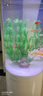 异景园鱼缸水族箱装饰仿真水草水族造景套餐假水草装饰塑料高款大水草绿 CH03-W吴淞草 实拍图
