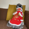 阿莫尔猫咪衣服保暖小猫猫衣服狗狗衣服过年冬天德文布偶猫蛇年宠物服装 福字醒狮唐装(连帽两脚衣) XL (具体参考身长和胸围) 实拍图