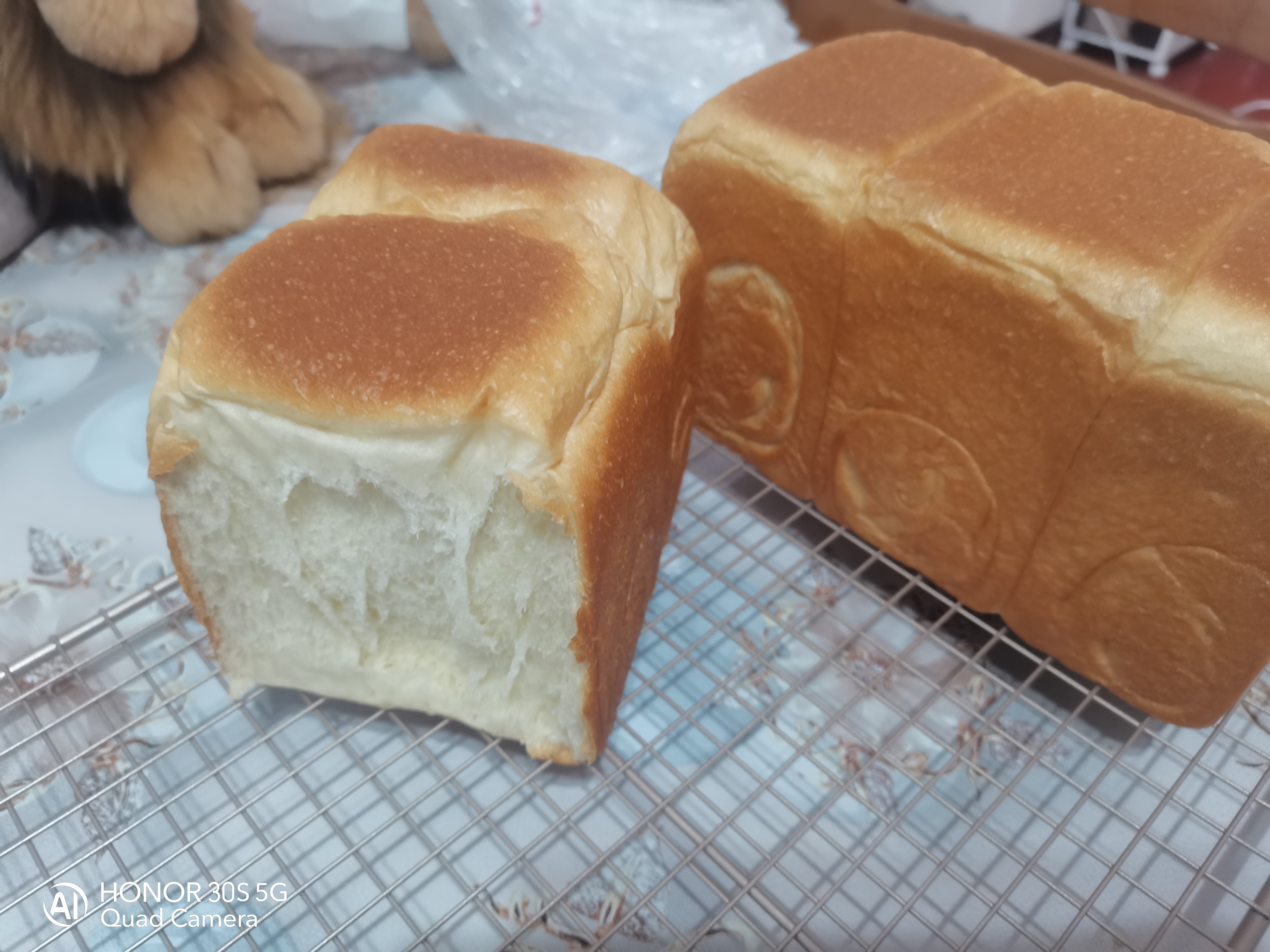 新良原味面包粉家用烘焙吐司面包机用小麦高筋面包粉 原味面包粉5kg+蛋糕粉5kg 实拍图