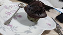法芙娜（VALRHONA） 法国原装进口无蔗糖纯可可粉蛋糕烘焙原料冲饮热巧克力粉250g 可可粉250克 实拍图