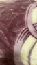 南极人（Nanjiren）毛毯被子加厚盖毯双层单人宿舍毛毯被秋冬绒毯子双人加大拉舍尔毯 店家推荐657灰豆沙【撸猫级触感】 200x230cm-约8斤 实拍图