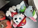 汪汪队立大功（PAW PATROL）汪汪队玩具毛绒全套狗狗玩偶公仔男女孩玩具旺旺队圣诞礼物 7只经典款-小号毛绒 小号-坐高约15.2CM 实拍图