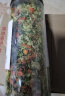 天马 脱水蔬菜 蔬菜干300g 煮汤配菜泡面伴侣混合脱水蔬菜干煲汤材料 实拍图